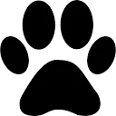 PAW Patrol World