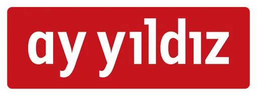 AY YILDIZ Germany